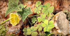19th Century British School Still Life of Clover, Ivy and a Buttercup