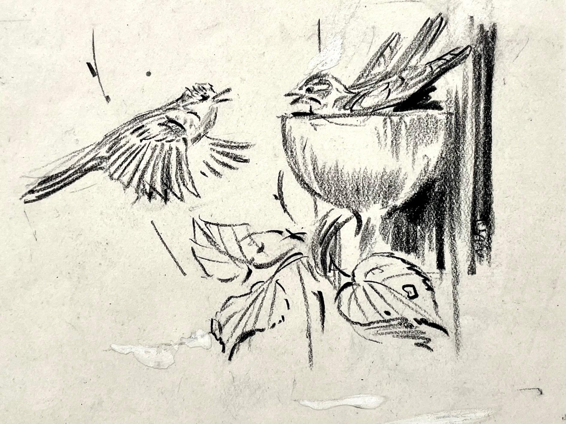 Eileen Soper - 20th Century British Drawing of Birds at a Nest