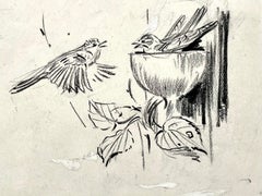 Eileen Soper – britische Zeichnung von Vögeln in einem Nest aus dem 20. Jahrhundert