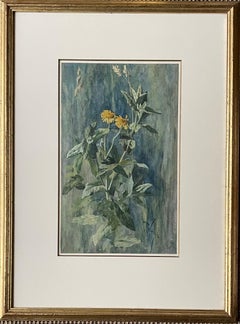 Arthur Wardle - Britannique C.I.C. 1900 aquarelle botanique de fleurs sauvages