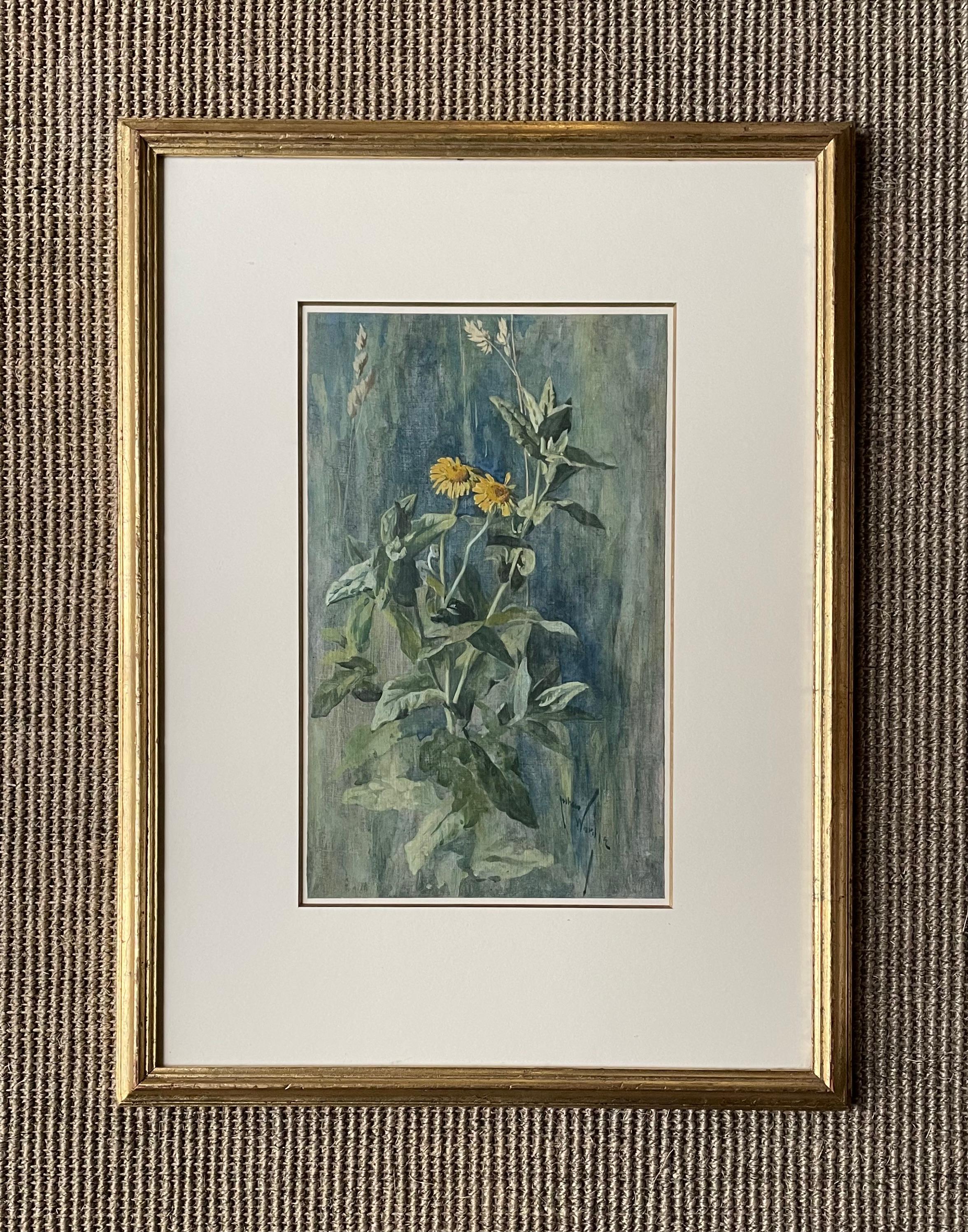 Arthur Wardle - British c. 1900 botanical watercolour of Wild Flowers For Sale 3