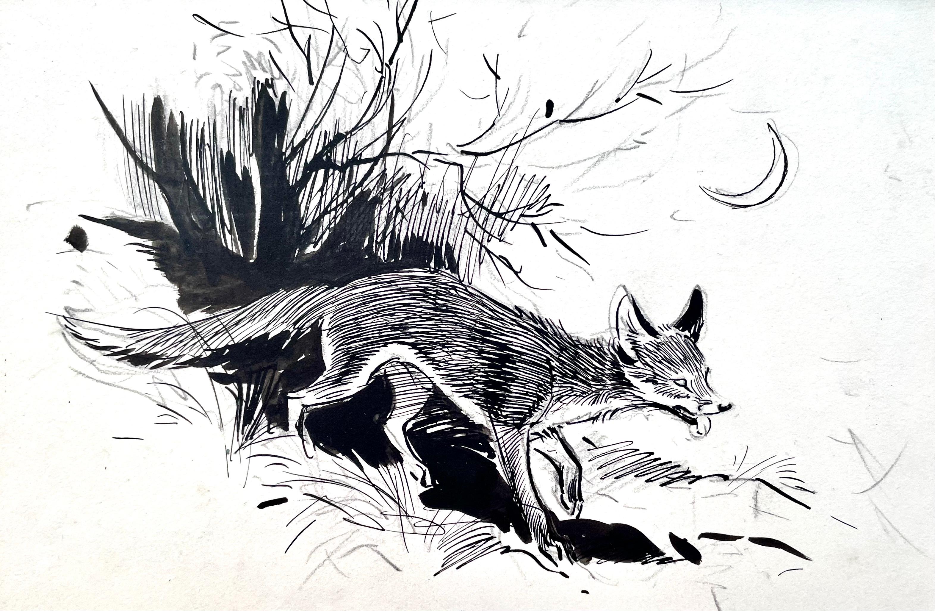 Eileen Soper - Dibujo de un zorro de la fauna británica del siglo XX en venta 1