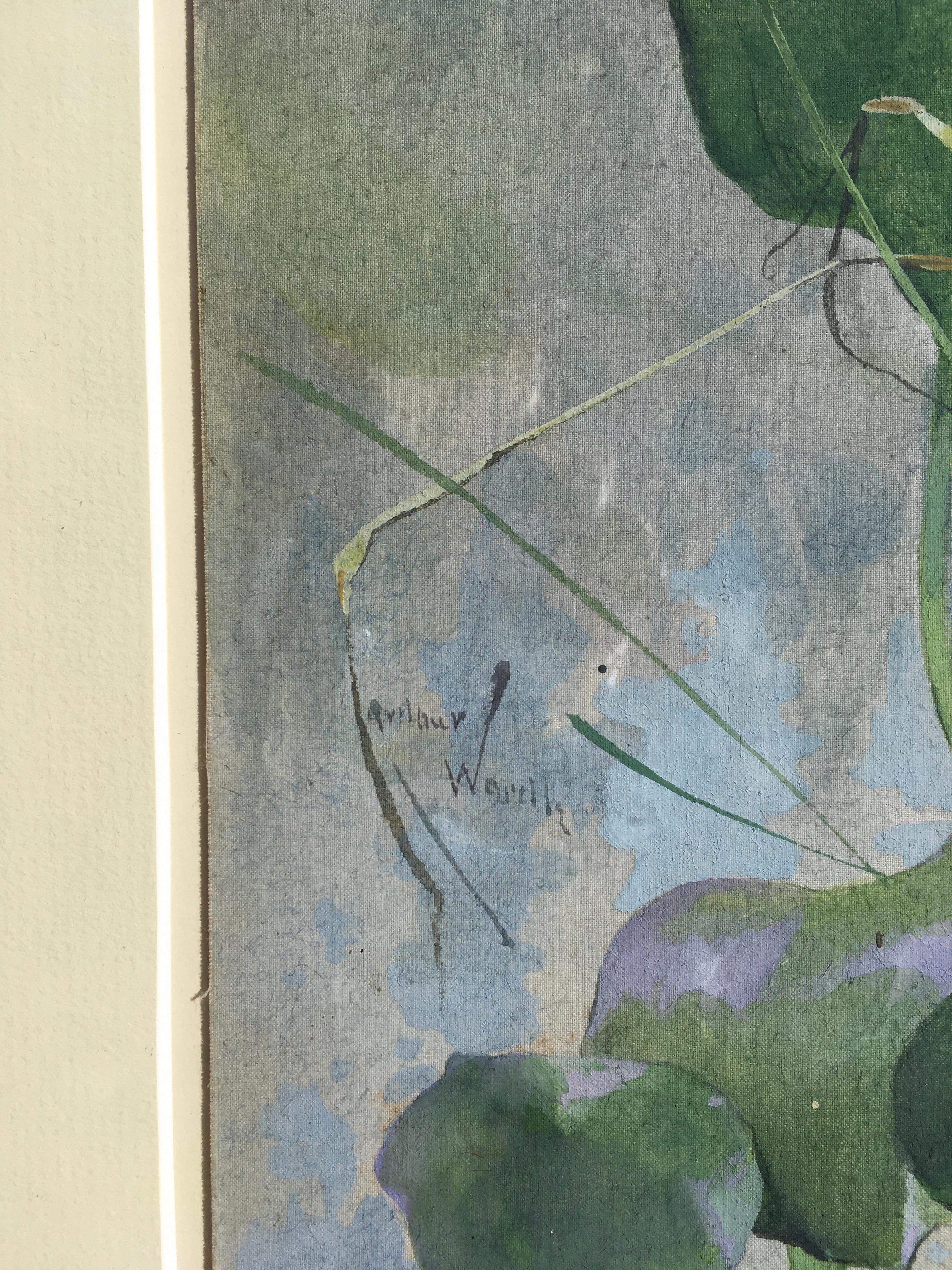 Wasserhyazinth – Botanisches Aquarell des frühen 20. Jahrhunderts von Arthur Wardle im Angebot 2