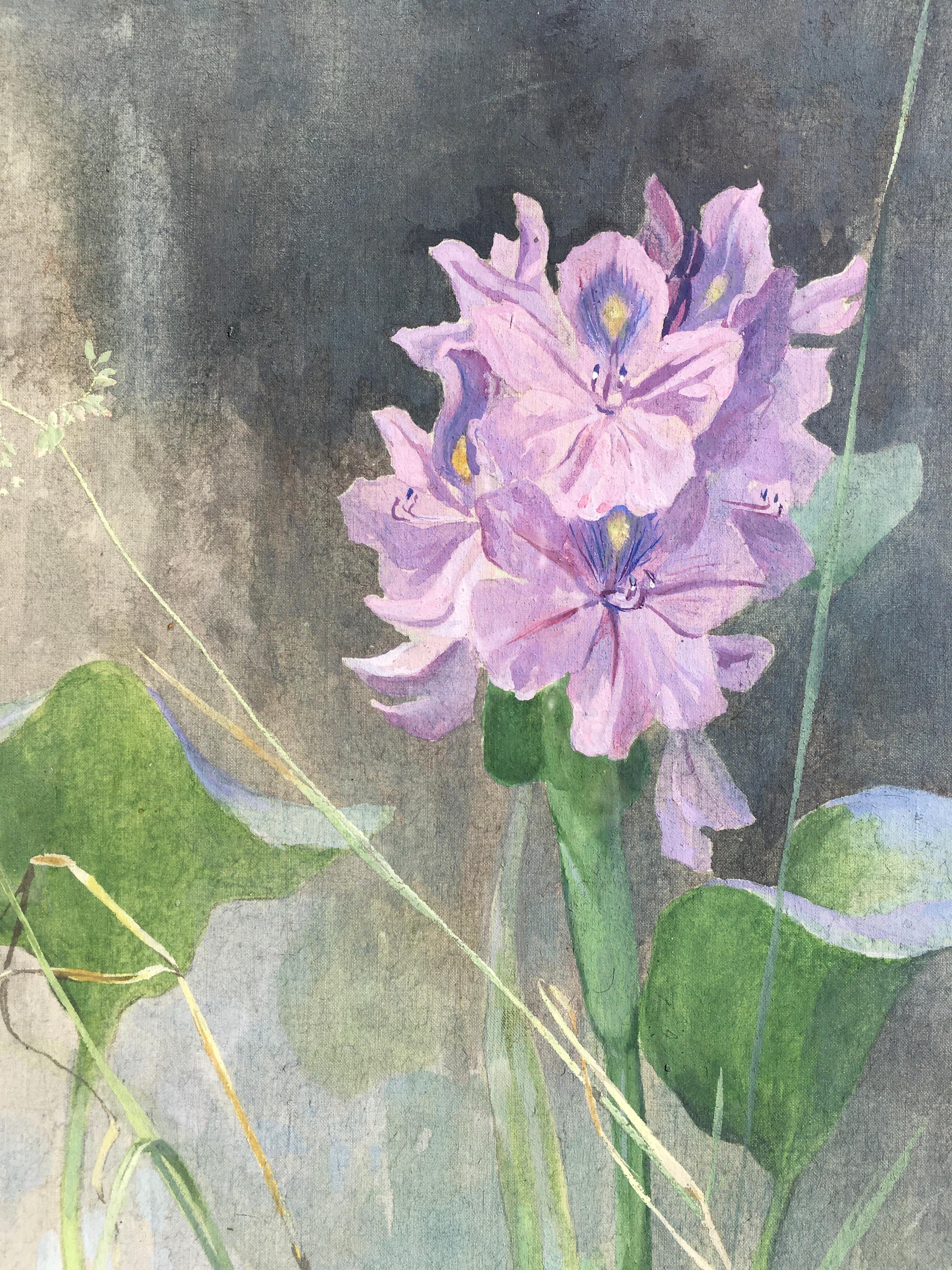 Wasserhyazinth – Botanisches Aquarell des frühen 20. Jahrhunderts von Arthur Wardle im Angebot 3
