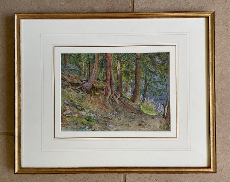 Woodland - British early 20th Century watercolour by Estella Canziani For Sale 1