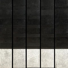 Svetlana Shalygina - Svetlana Shalygina. Black
White Crackle. Textural Original Abstract Painting. Svetlana Shalygina. Black
White Crackle. Textural Original Abstract Painting.