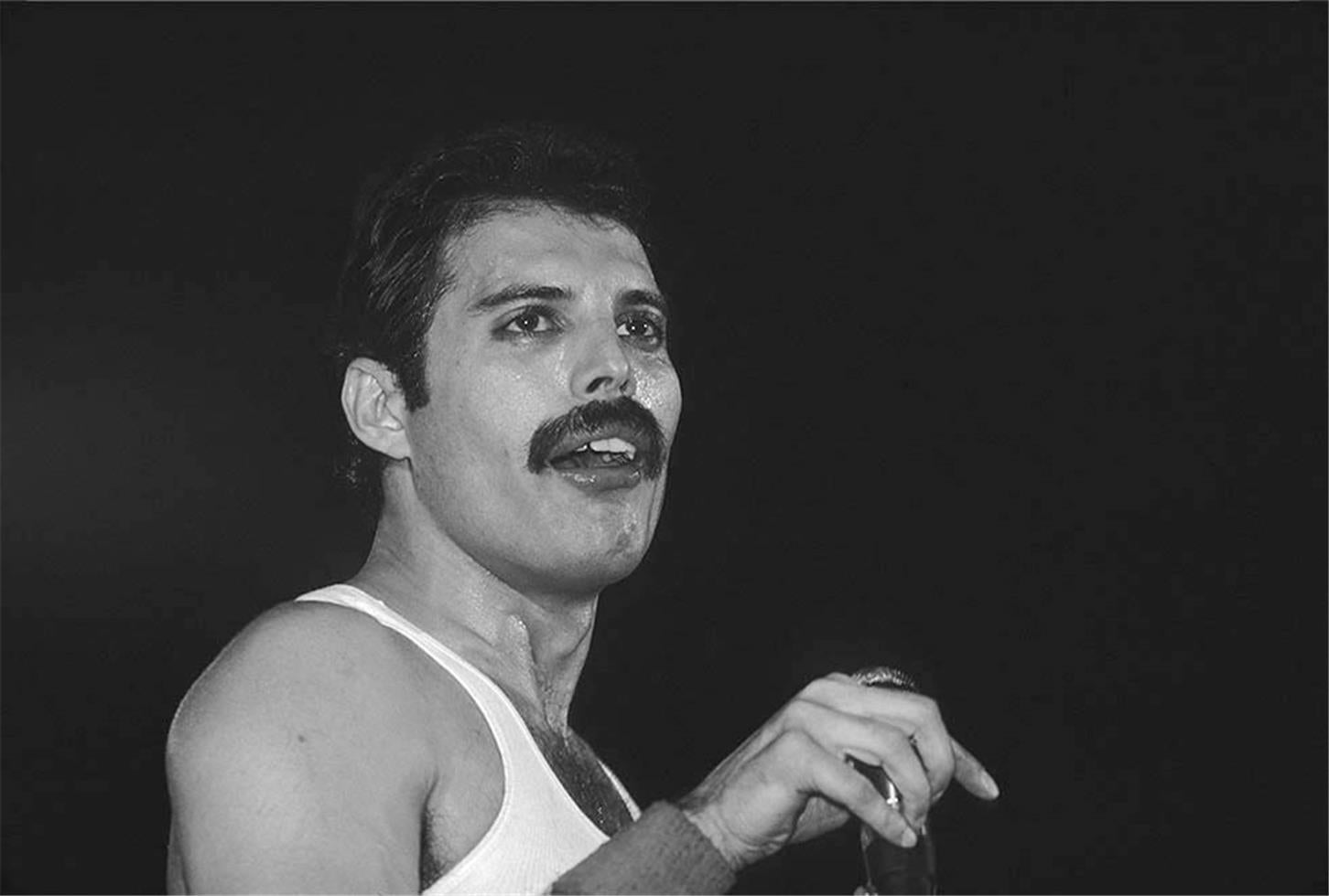  Charlyn Zlotnik Black and White Photograph - Freddie Mercury, Queen, NYC, 1980