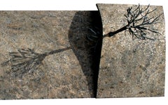 Roots #2 - Jean-Paul Rti, 21e siècle, sculpture métallique contemporaine