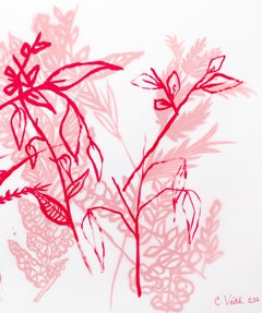 L'herbe sauvage Caroline Veith - Dessins contemporains de la flore