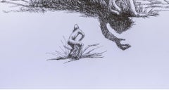 Wut und ich Daniel Piérart Zeitgenössische Zeichnung Kunst Tierporträt Wut Tinte