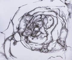 Stuck Daniel Piérart Zeitgenössische Zeichnung Kunst Tusche Tier schwarz und weiß