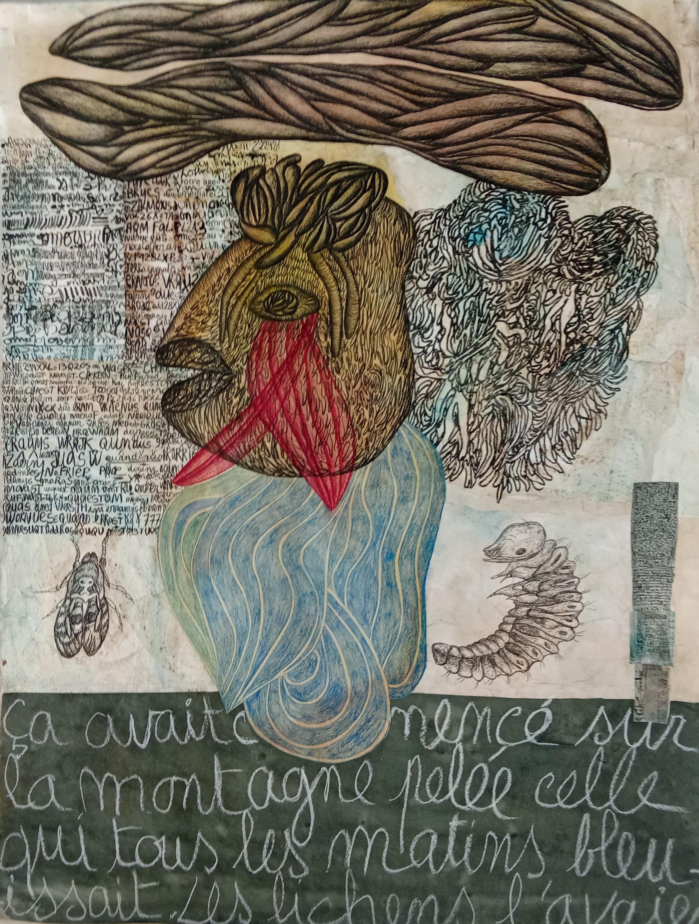 Head Geneviève Seillé Contemporary drawing art color writing animal portrait