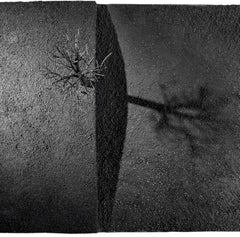 Roots #3 - Jean-Paul Réti, 21e siècle, Sculpture contemporaine en métal