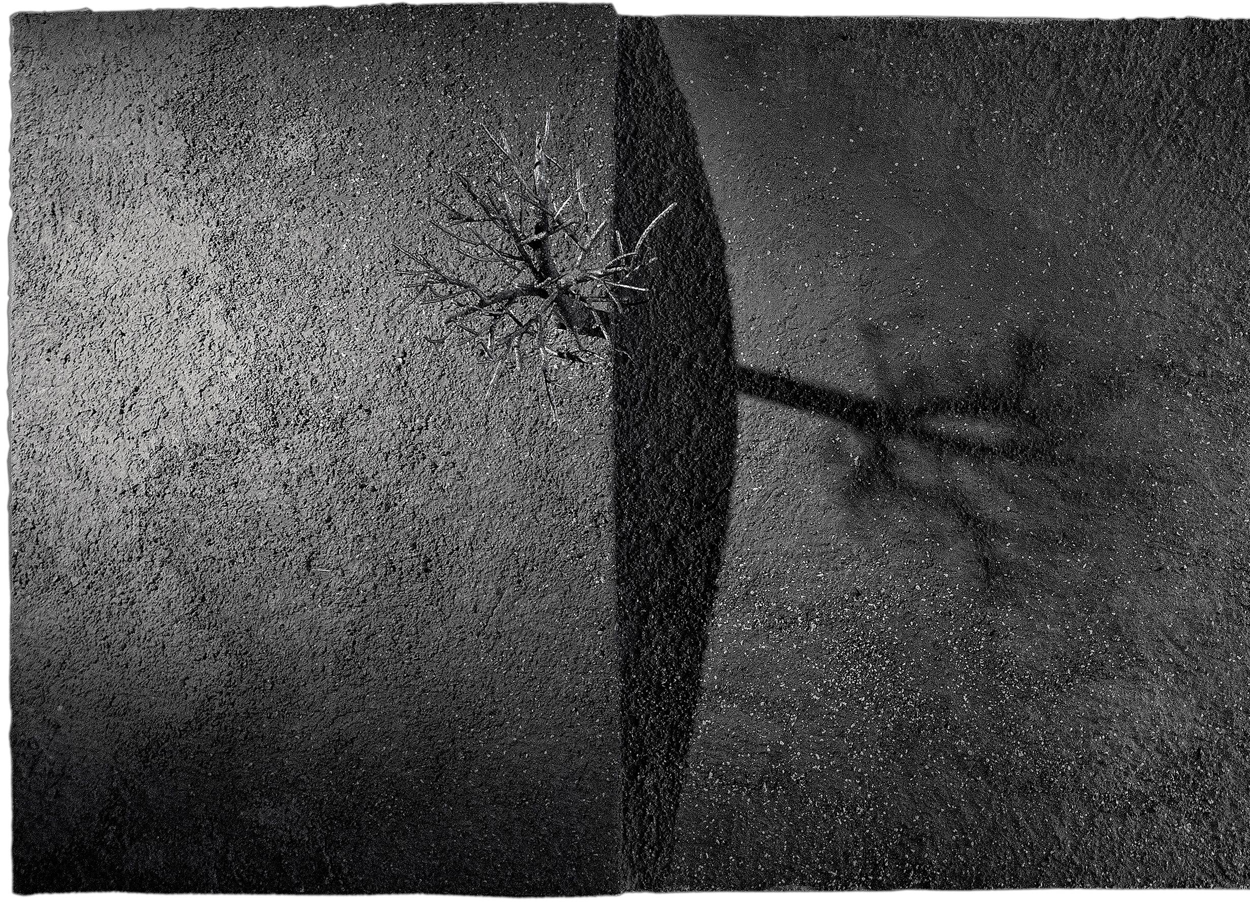 Roots #3 - Jean-Paul Réti, 21. Jahrhundert, Zeitgenössische Metallskulptur im Angebot 2