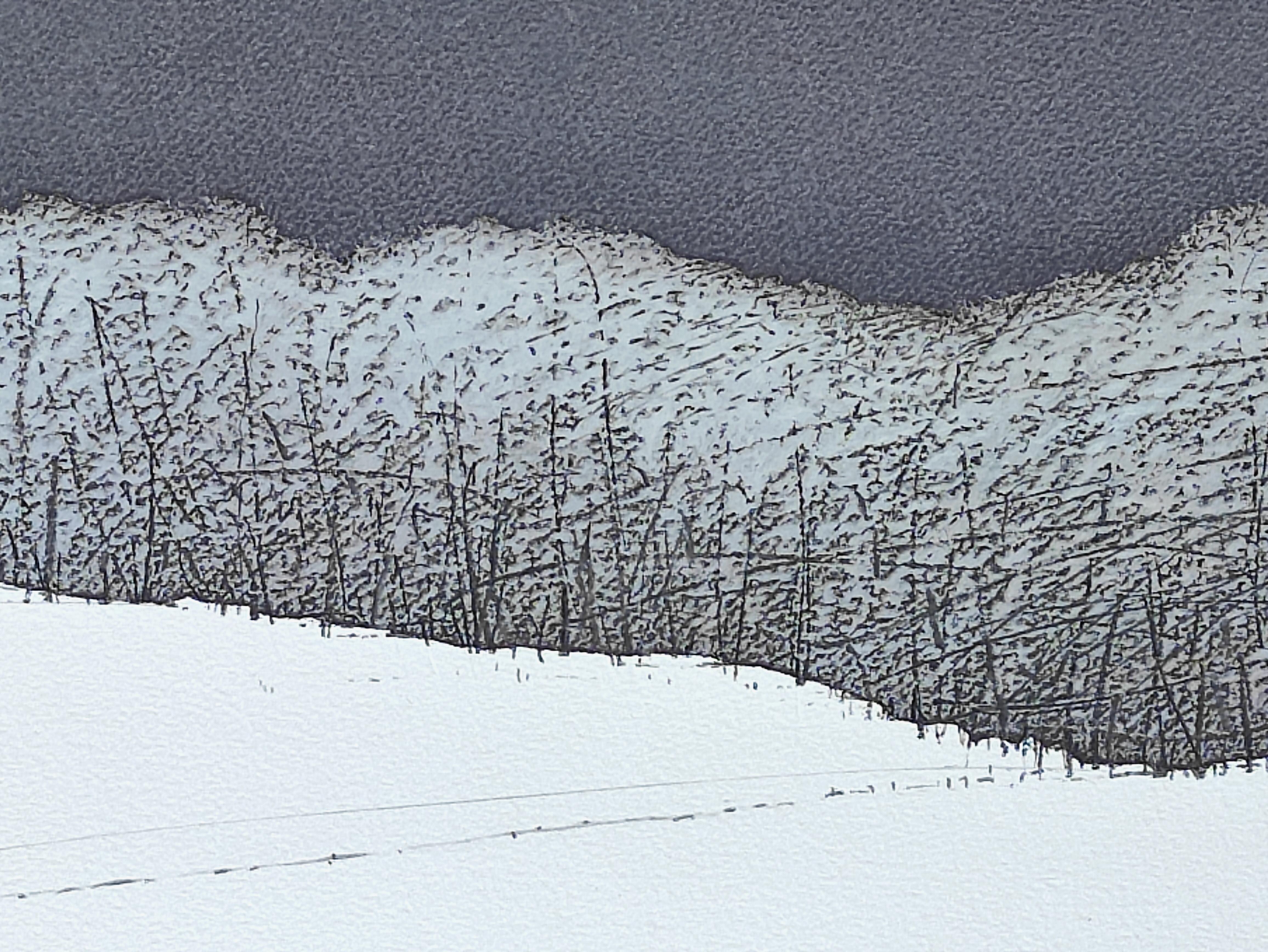 Winter Forest  - Contemporary Atmospheric Landscape Oil Pastel  Painting - Art by Janusz Kokot