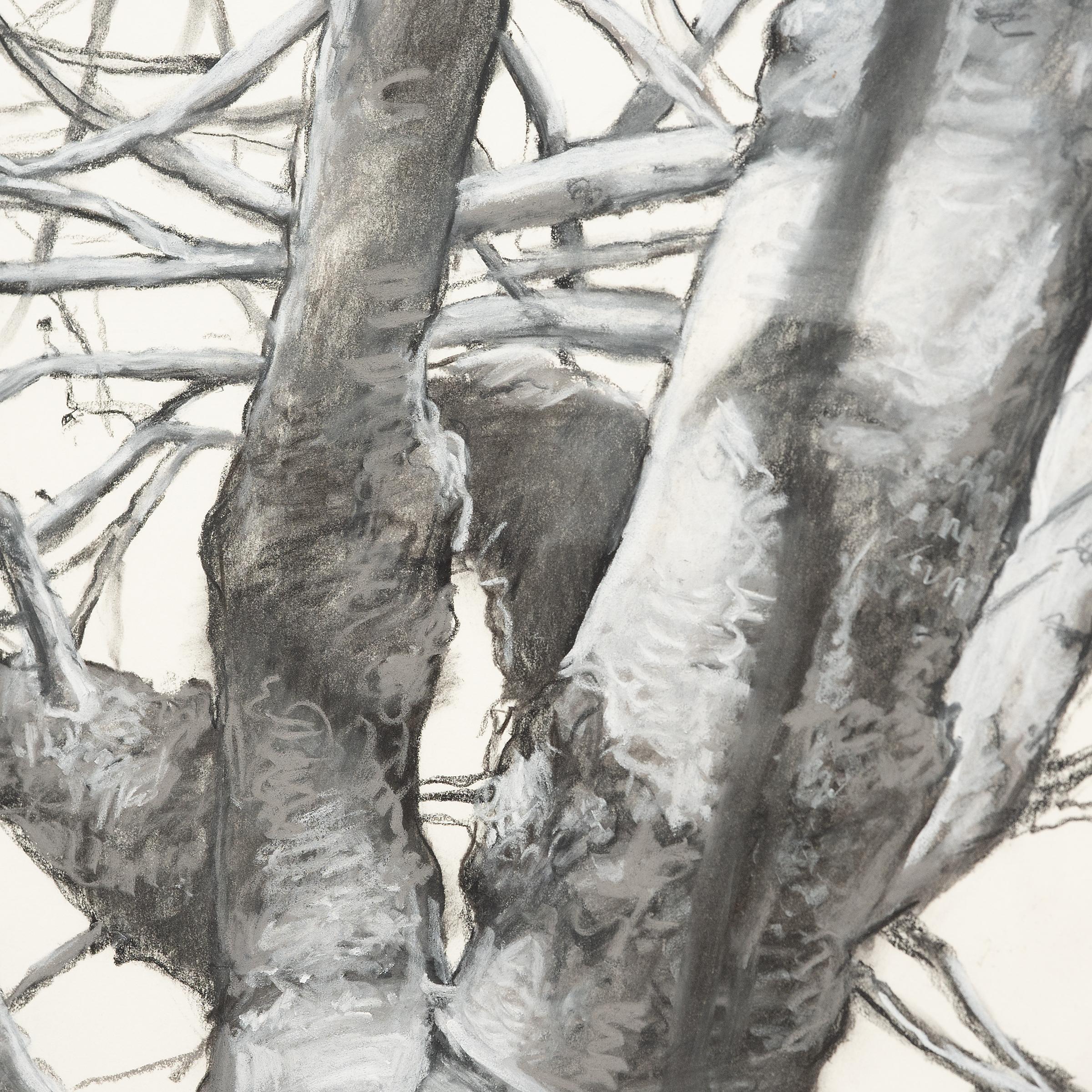 „Memory of Leaves“, Kohle auf Papier, 2023 (Naturalismus), Art, von Bruno Surdo