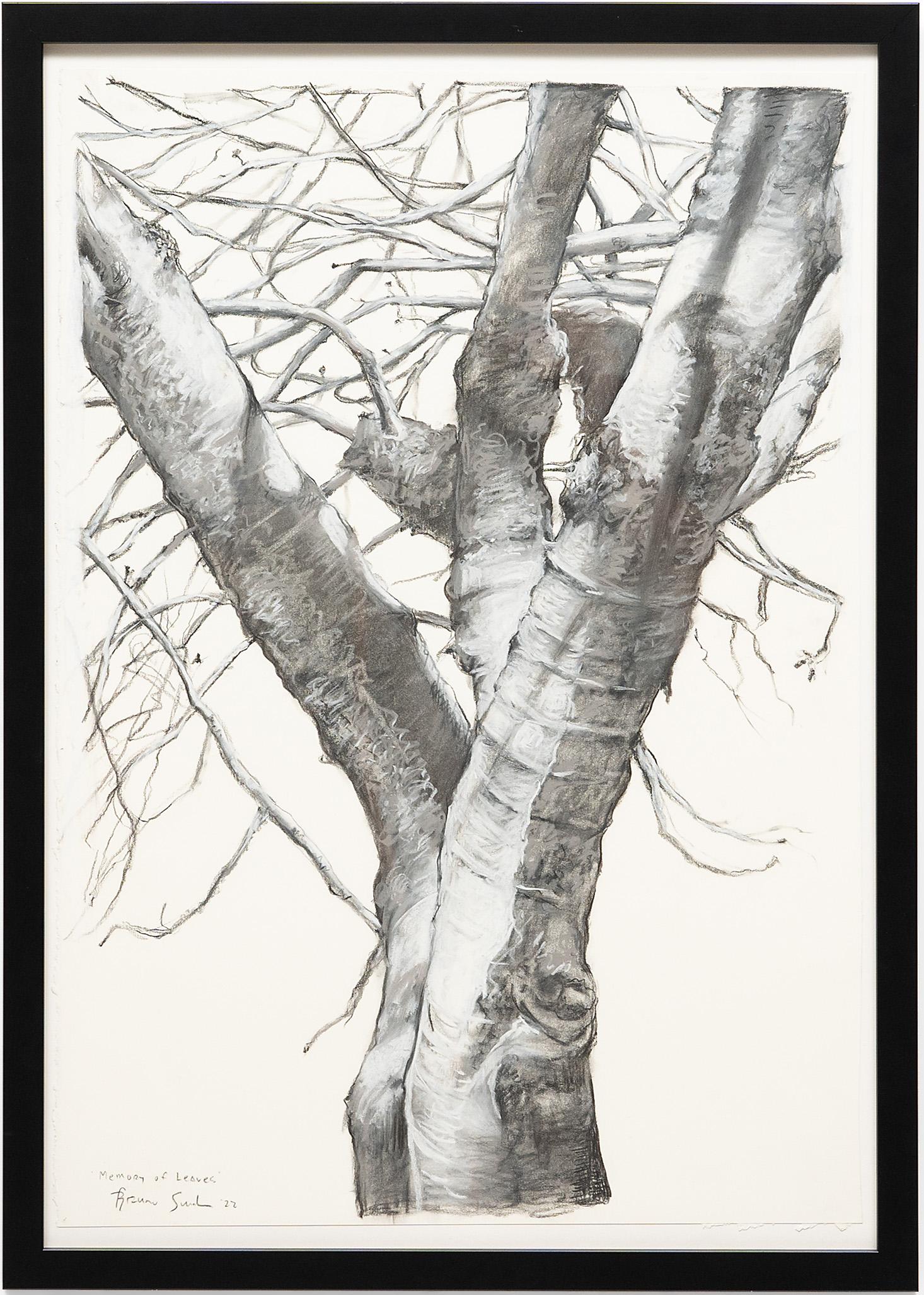 Bruno Surdo Landscape Art – „Memory of Leaves“, Kohle auf Papier, 2023
