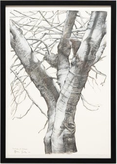 "Memory of Leaves, " Charcoal on Paper, 2023