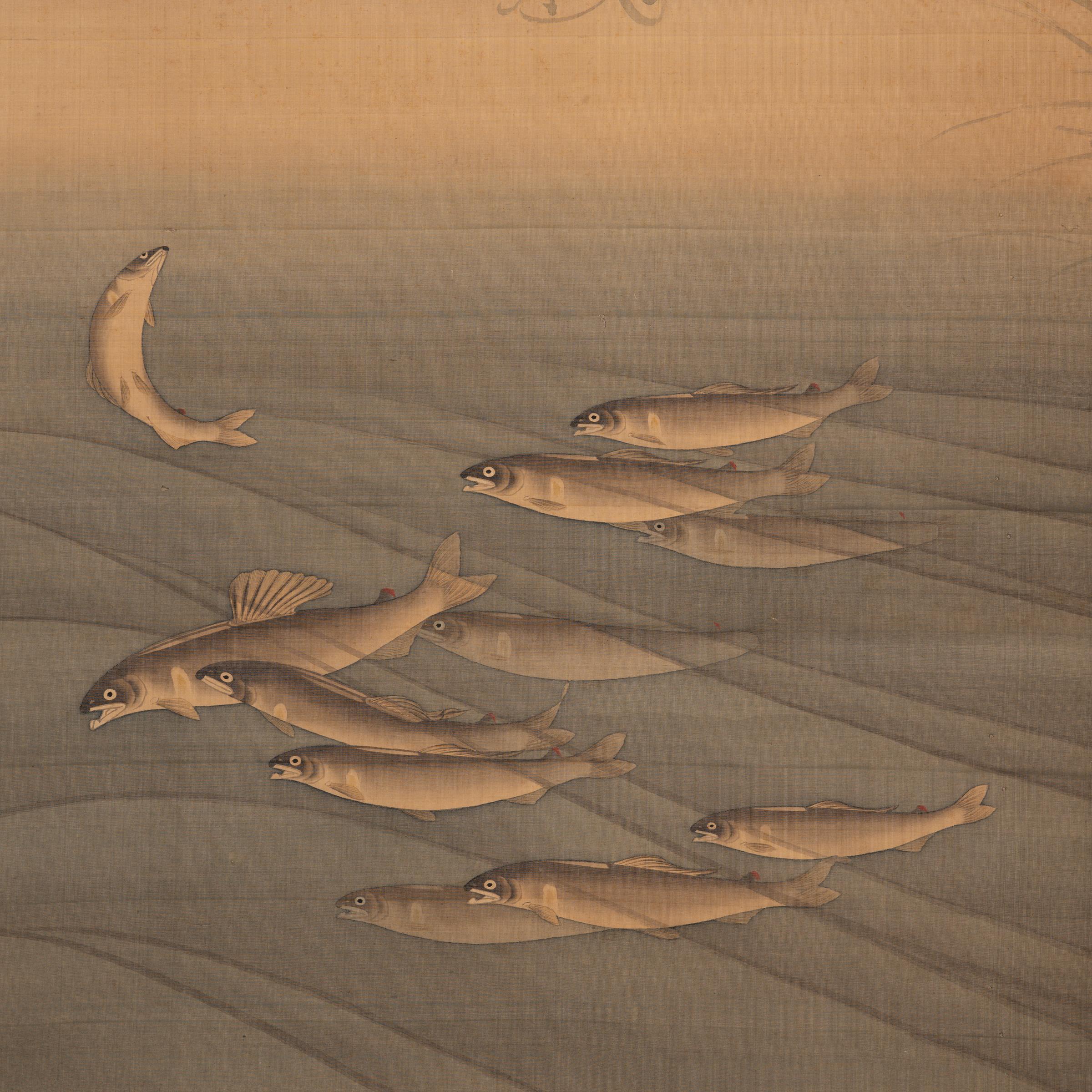 Rouleau suspendu japonais Meiji représentant des poissons Ayu, vers 1850 - Art de Unknown