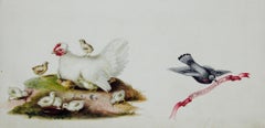 A white hen with her chicks - 19th century watercolour by Augusta Innes Withers
