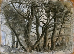 "Old Oaks", Trees Inhabited by Human in Nature, Drawing and Pigments on Paper