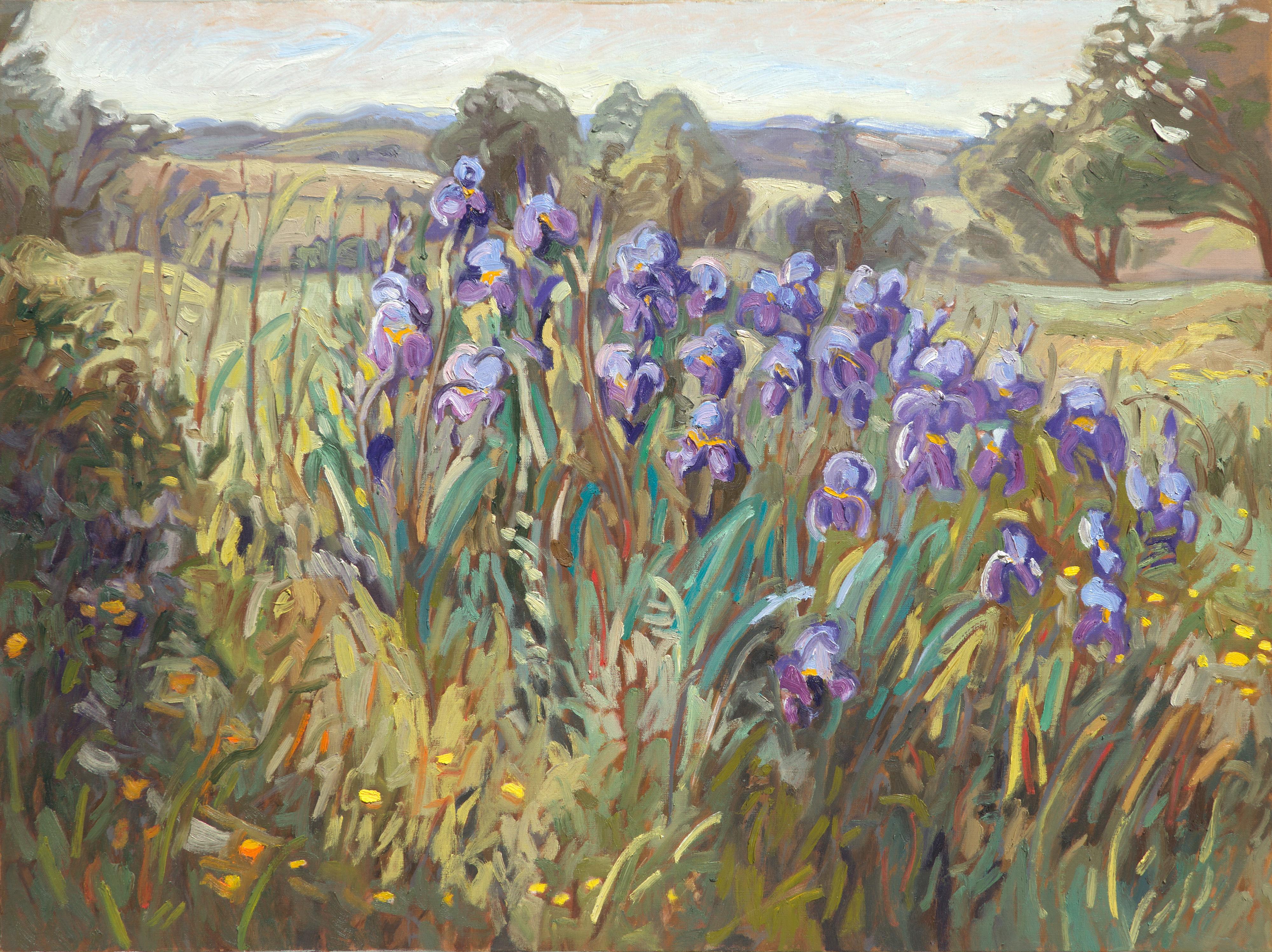 Yves Calméjane Figurative Painting - "The Iris' Butte", Purple Iris in the Wild Impressionist Landscape Oil Painting