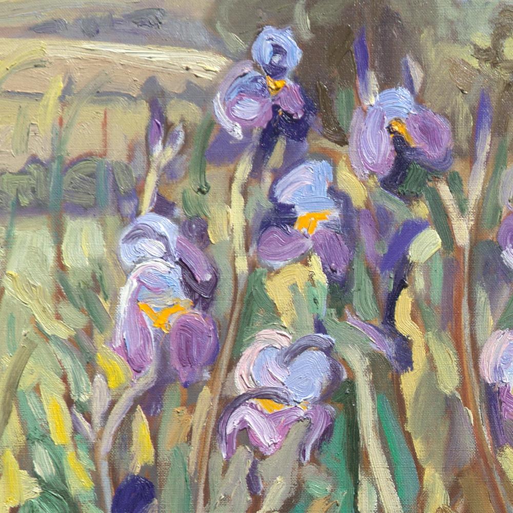 This artwork features a bosquet of purple Iris in a rural landscape of Auvergne. Hills and trees are visible in the background, and small yellow flowers in the foreground on grasses. The colors are both vivid and refreshing.

Yves Calméjane usually