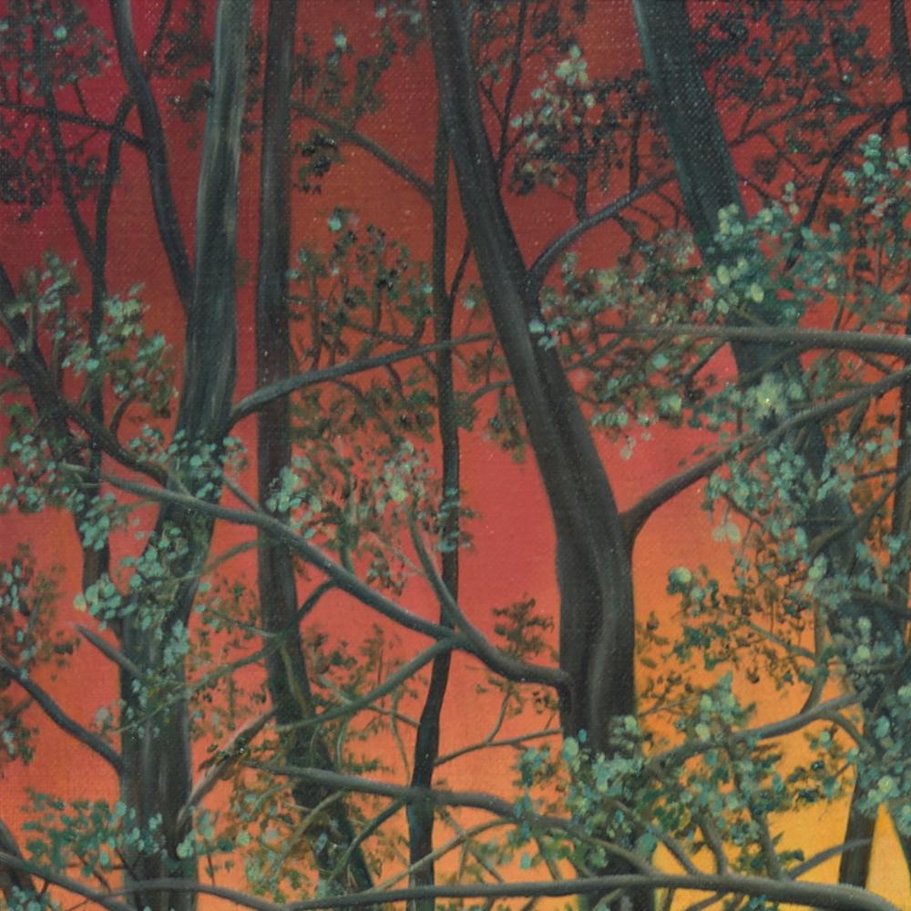 „“ Wald“, Entschlossene Bäume am Sonnenuntergang Landschaft Naive/ Primitivistisches Acrylgemälde im Angebot 12