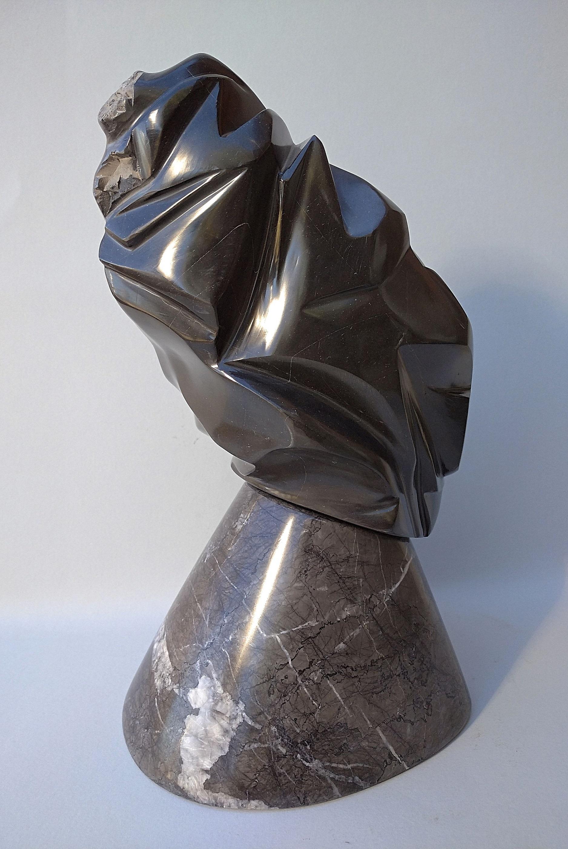 „“Buste Emport““, ungewöhnliche figurative weibliche Skulptur aus schwarzem Marmor, nackt  im Angebot 5