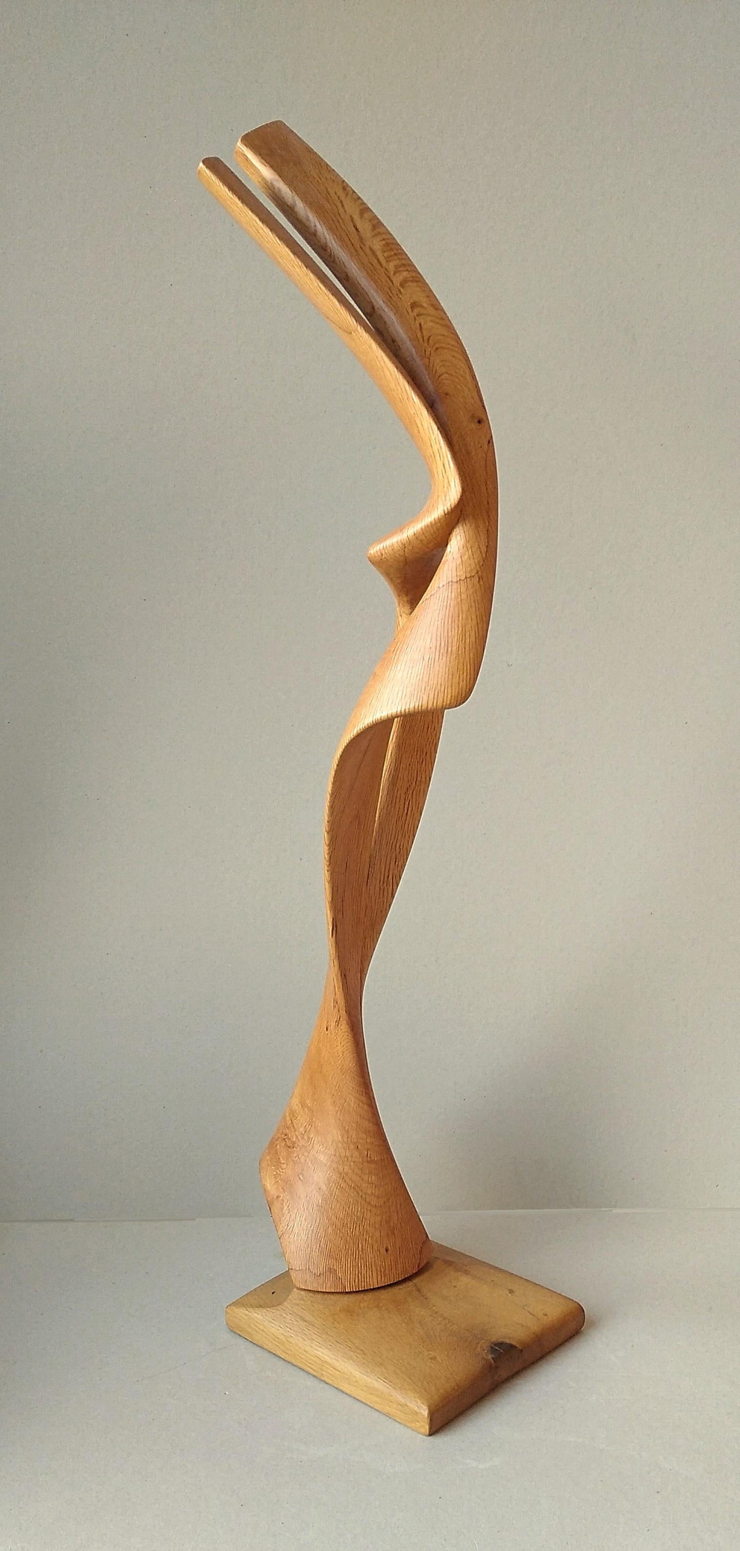 Très pure dans ses lignes sous tous les angles, cette sculpture abstraite en bois de chêne est une œuvre d'art unique de Lutfi Romhein.

Diplômé de l'Académie des Beaux-Arts de Carrare, en Italie, Lutfi Romhein est un sculpteur d'origine syrienne,