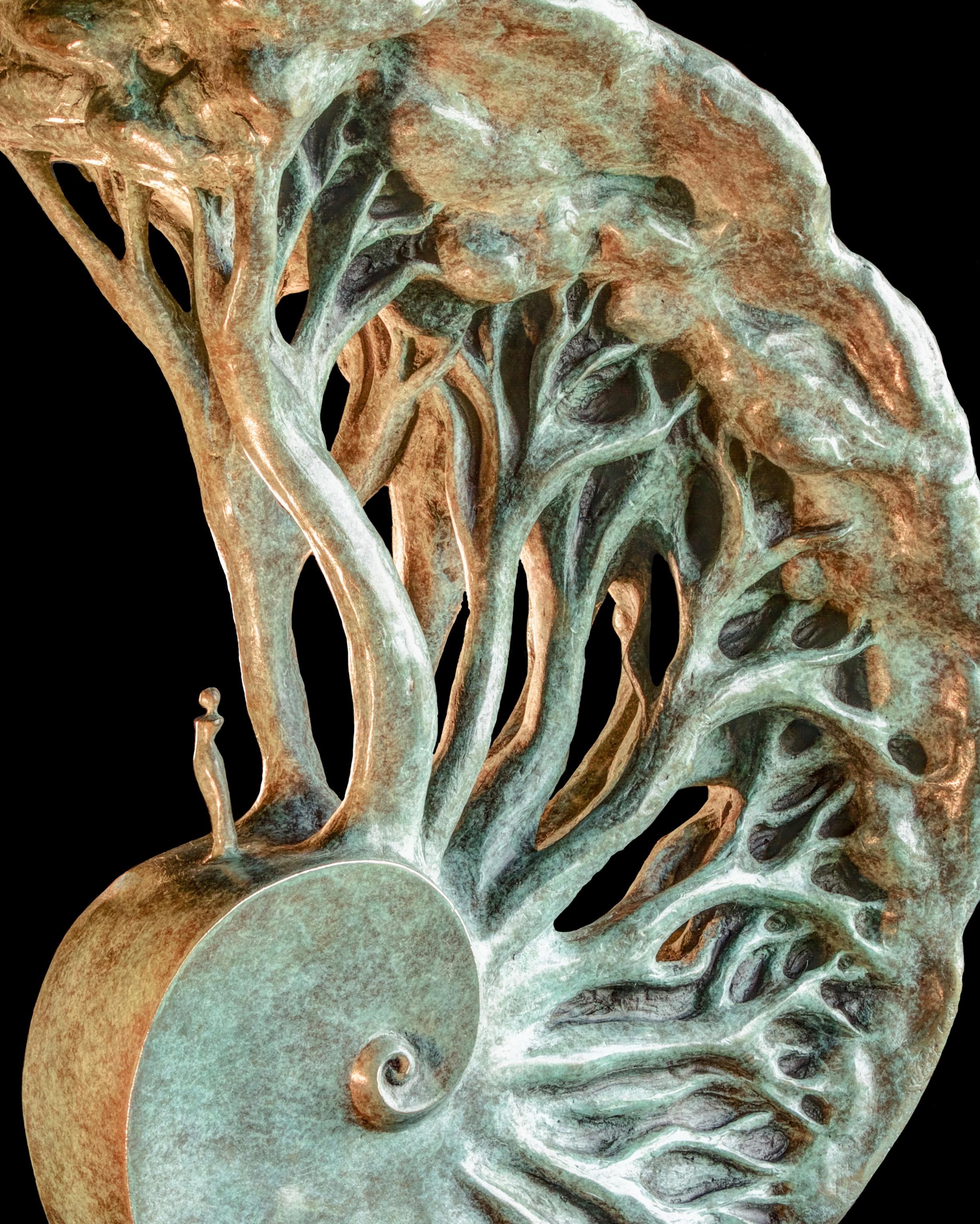 Diese figurative und symbolistische Bronzeskulptur von Isabelle Jeandot stellt eine Spirale mit der Goldenen Zahl dar, eine Pflanzenallegorie, die das Auftauchen unserer alten, in unsere DNA eingeschriebenen Erinnerungen symbolisiert.

Die