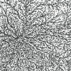 "Fractal 2", Vertical Fractal-Like Growth Structures Circular Ink Drawing