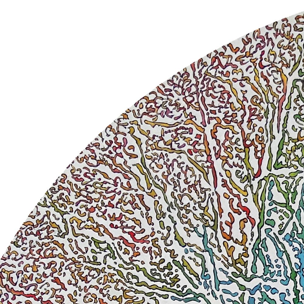 Questa opera d'arte circolare raffigura una transizione verde e arancione tra cerchi concentrici blu che raffigurano un'impronta digitale al centro e percorsi radiali rossi nella parte esterna.  L'artista è interessato a intellettualizzare
