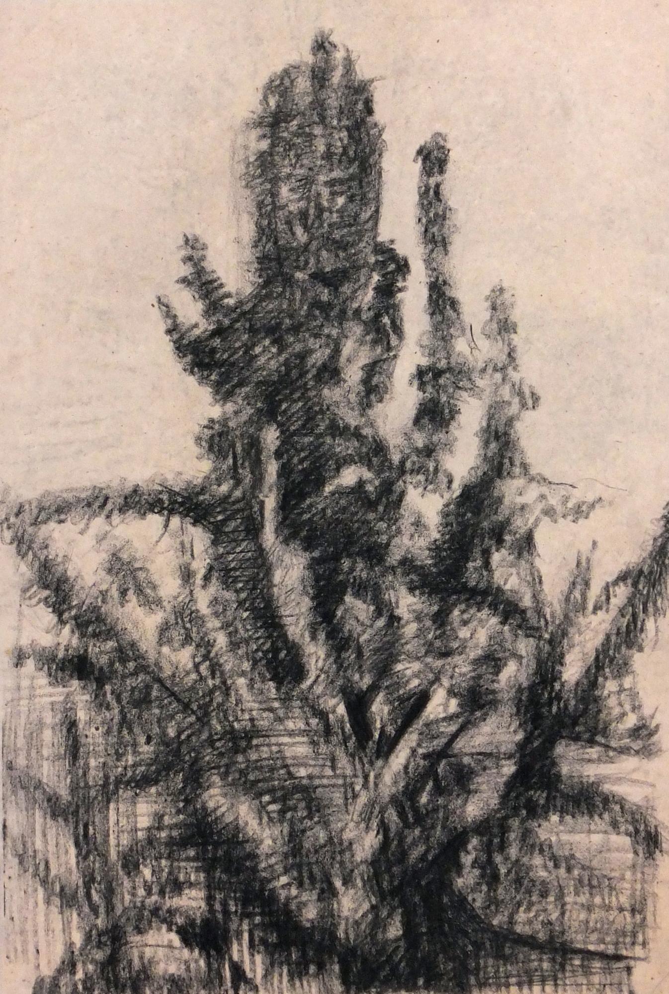Charcoal Abstract Drawing - Expressive French Tree - Art by Unknown
