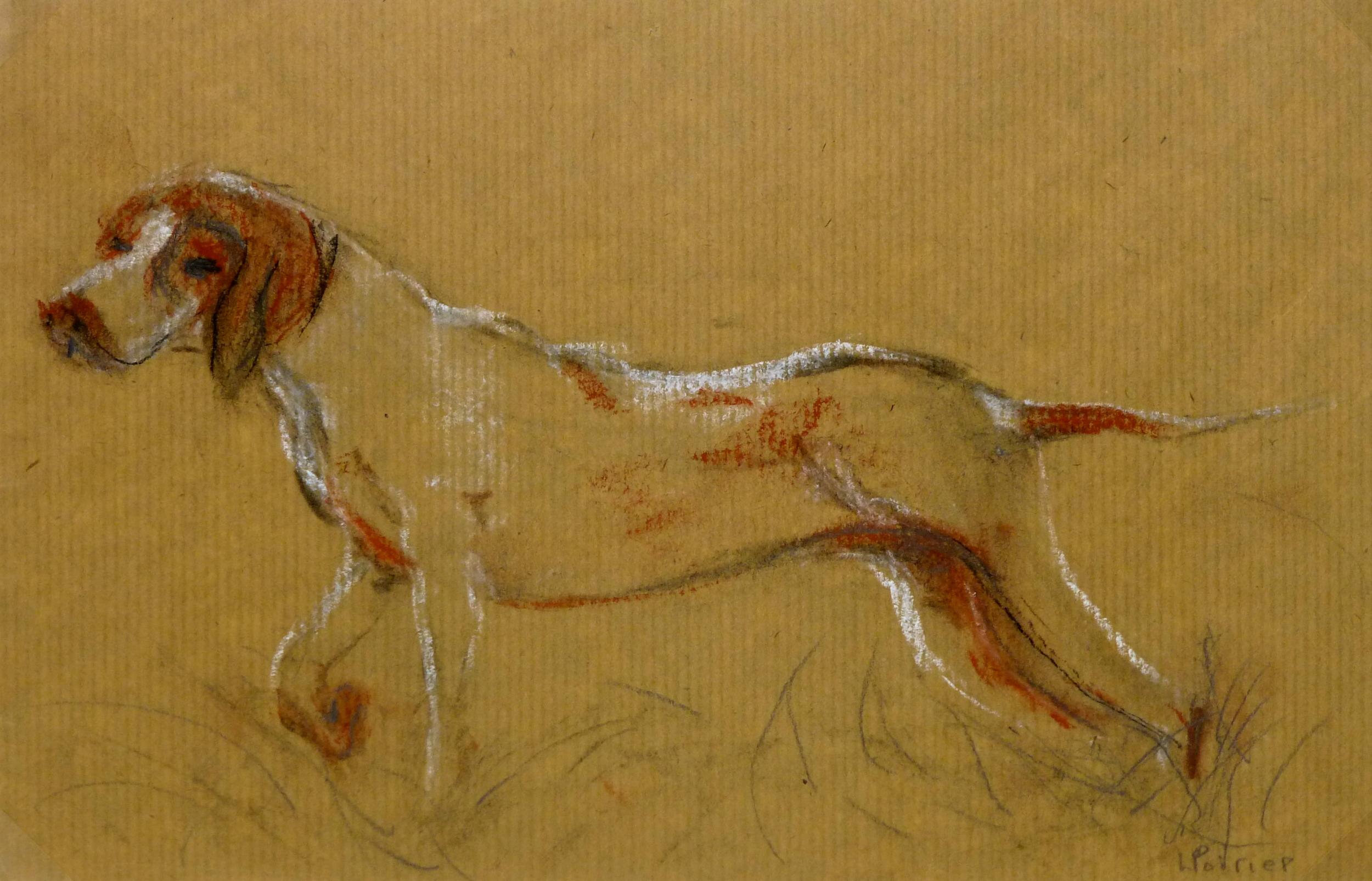 Dog Pencil Drawing, Sketch - Louisette Poirier, The Hunting Hound, c. 1960