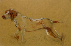 Vintage Dog Pencil Drawing, Sketch - Louisette Poirier, The Hunting Hound, c. 1960