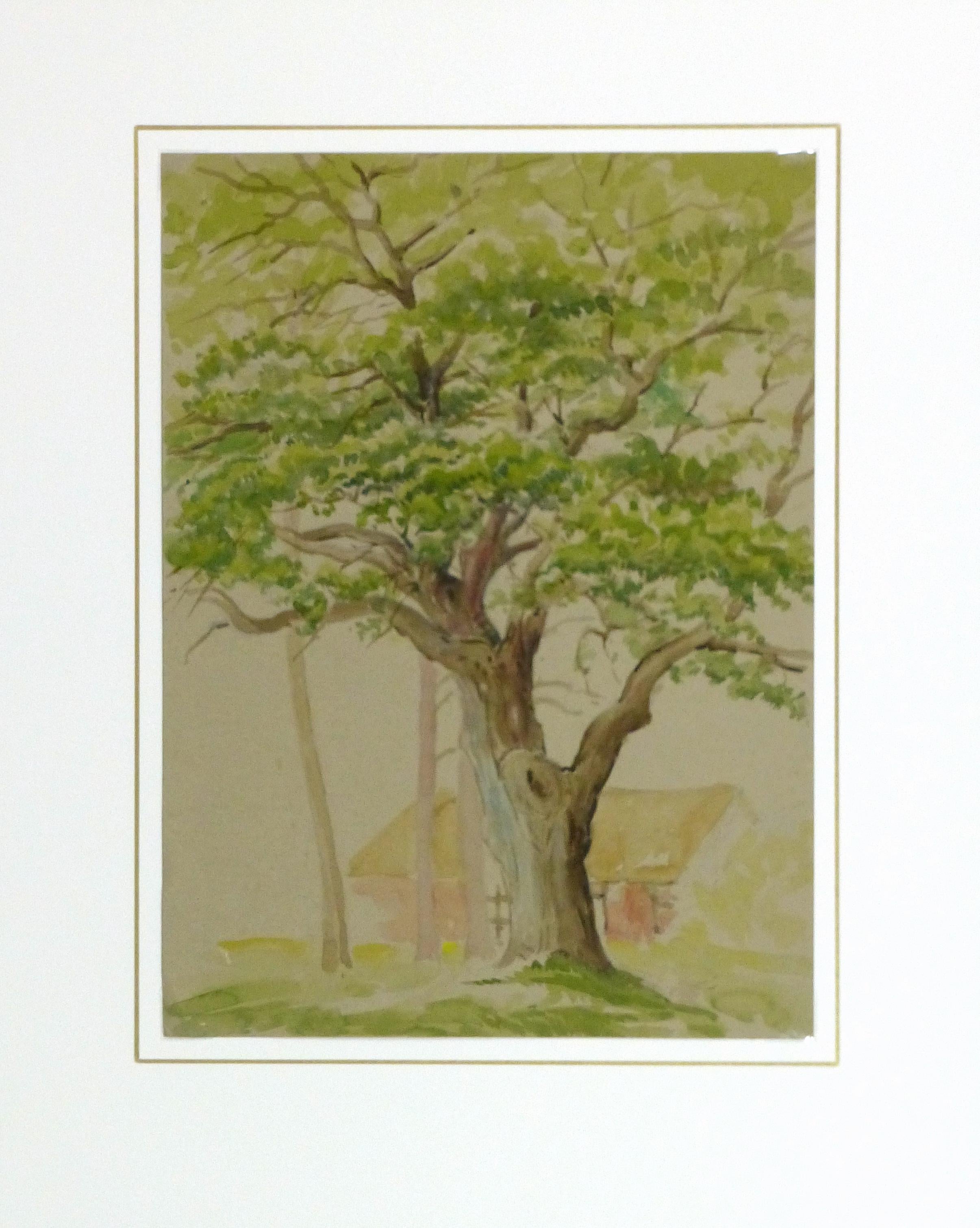 oak tree watercolor