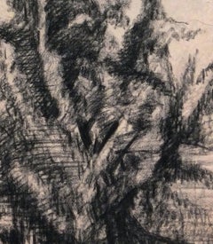 Charcoal Abstract Drawing - Expressive French Tree