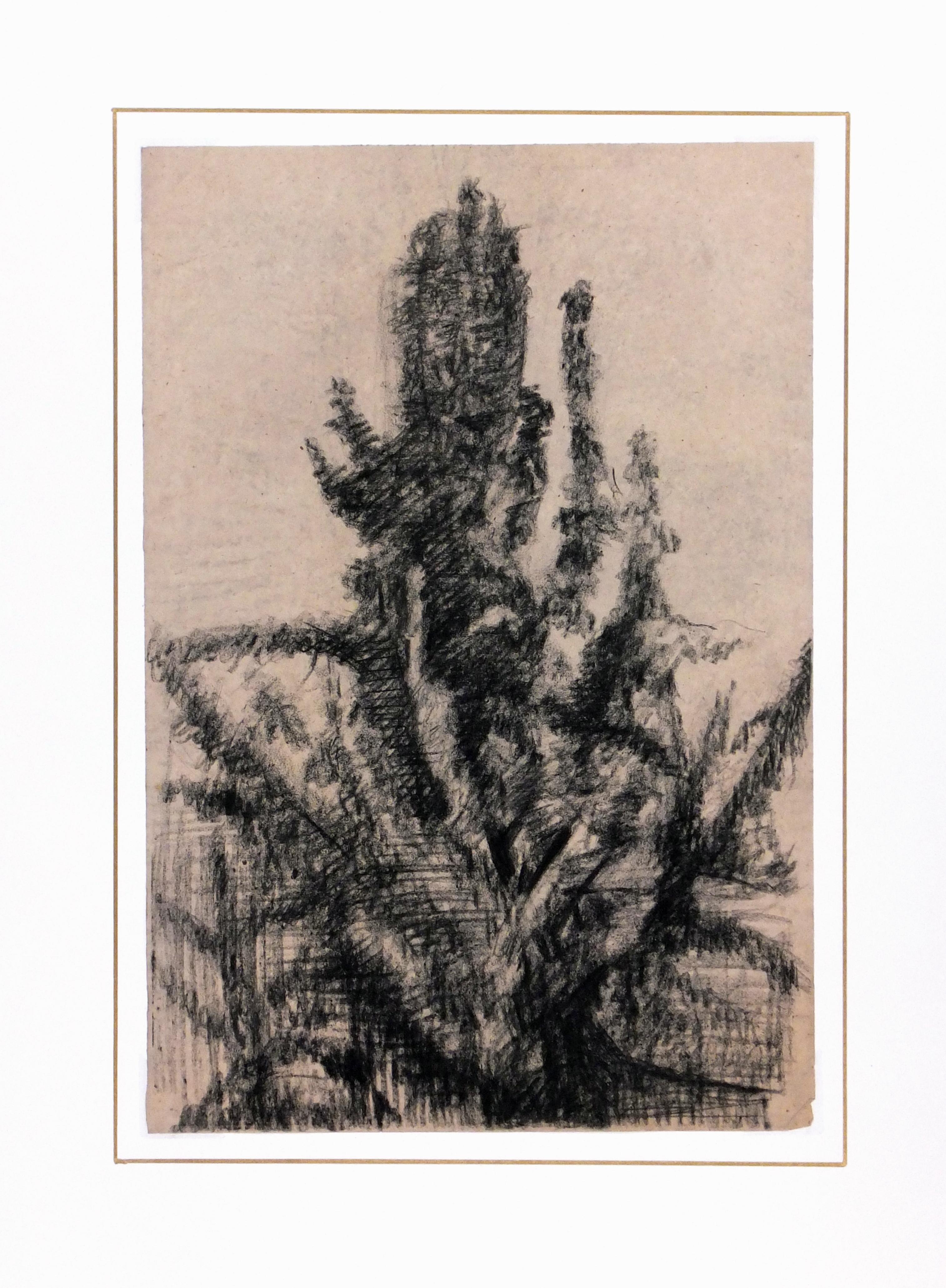Charcoal Abstract Drawing - Expressive French Tree 1
