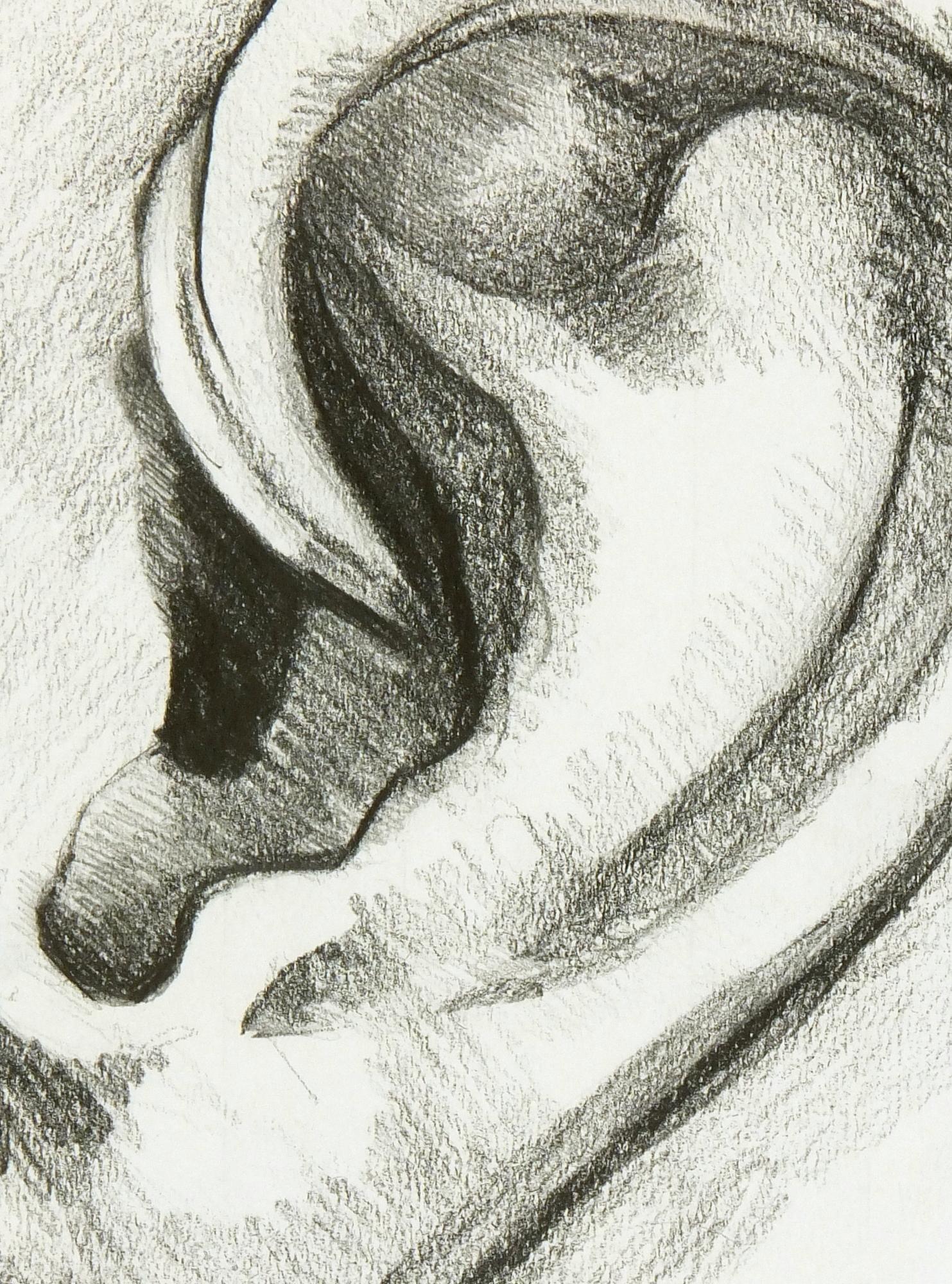 Zeitgenössische italienische Bleistiftzeichnung - Studie eines Ohrs (Grau), Figurative Art, von Floriana Belluardo