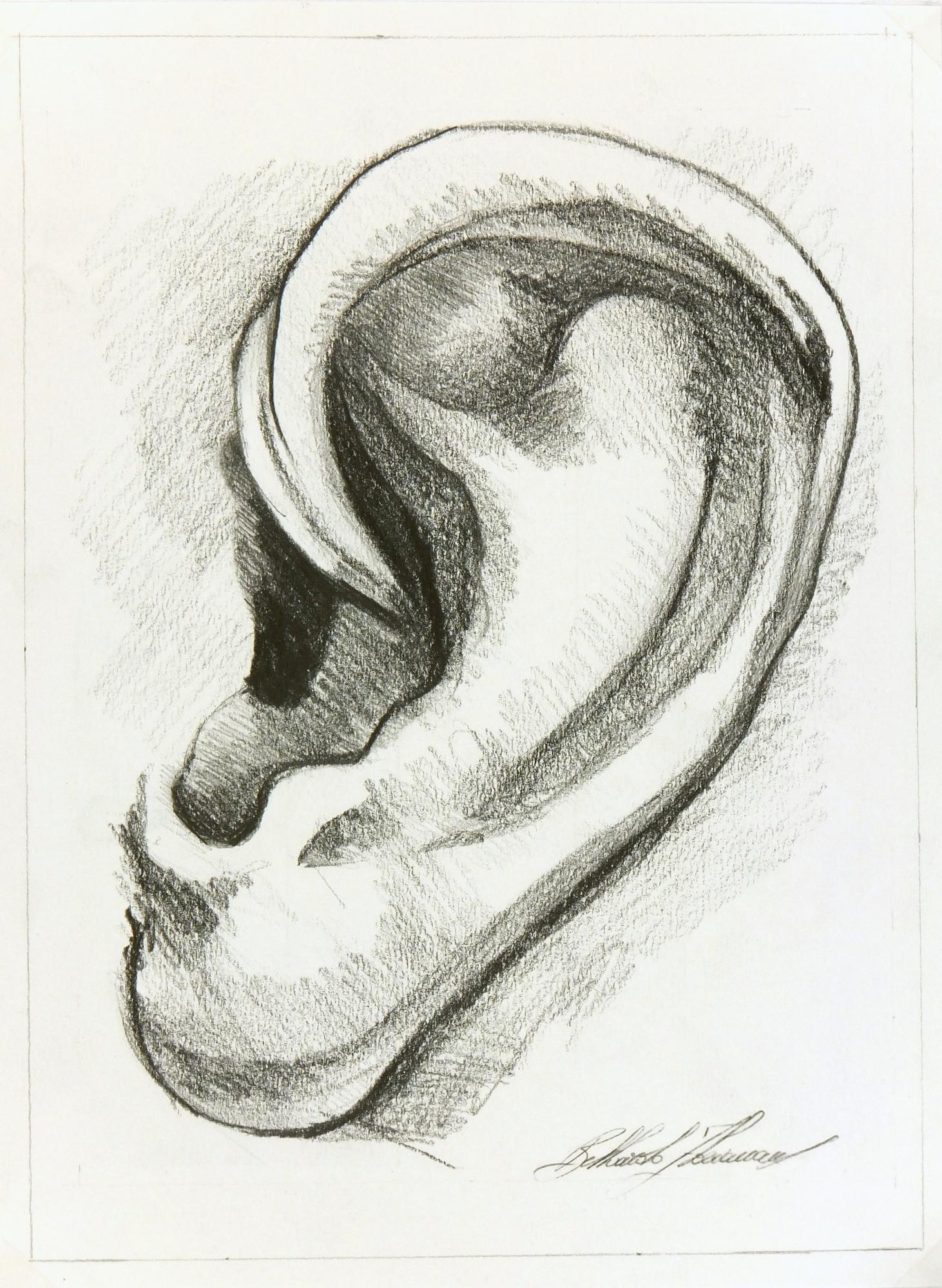Floriana Belluardo Figurative Art – Zeitgenössische italienische Bleistiftzeichnung - Studie eines Ohrs