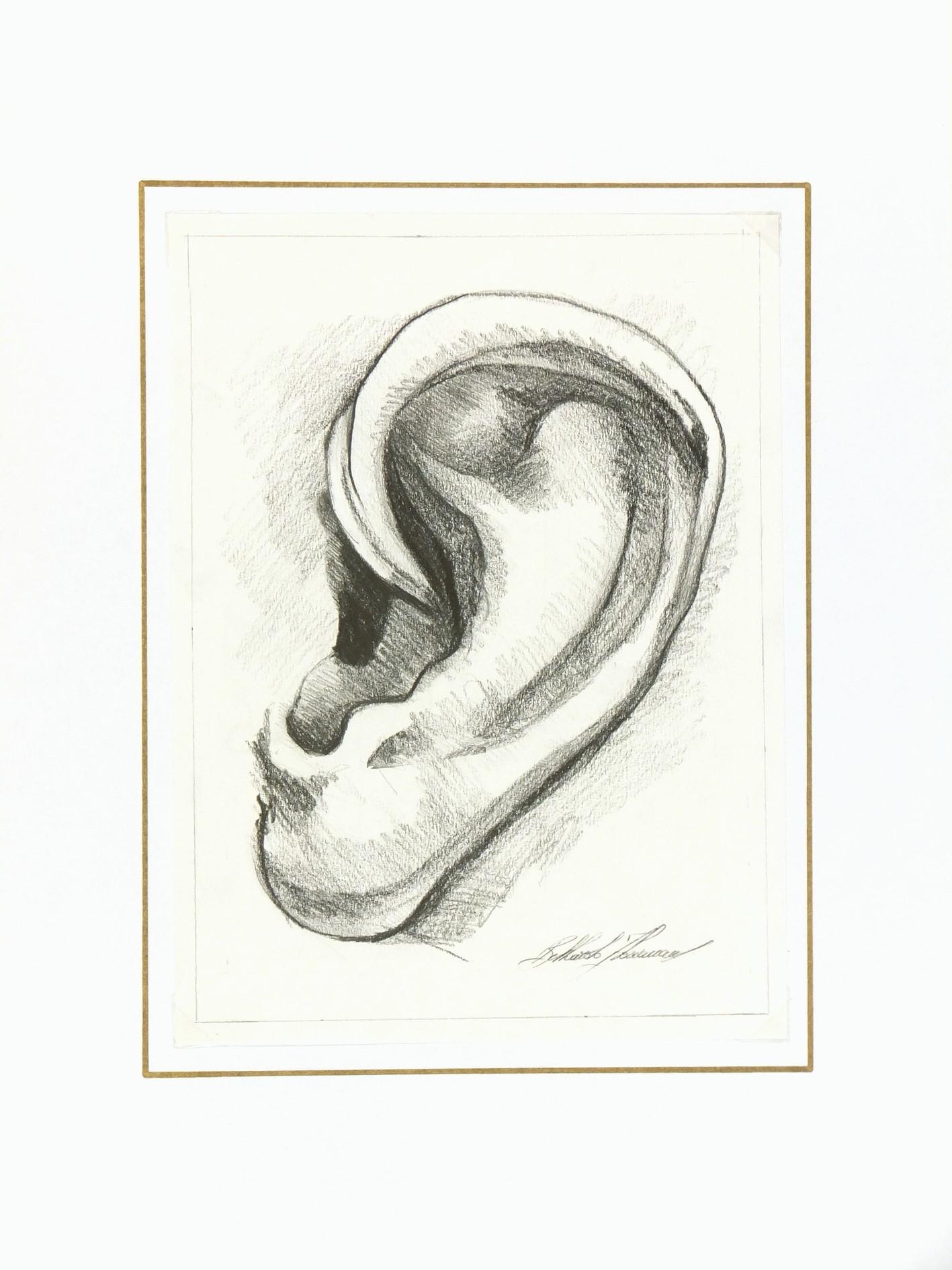 Wunderschön detaillierte Bleistiftzeichnung eines Ohrs von der toskanischen Künstlerin Floriana Belluardo. Signiert unten rechts. 

Originalkunstwerk auf Papier auf einem weißen Passepartout mit Goldrand. Die Matte passt in einen Rahmen mit