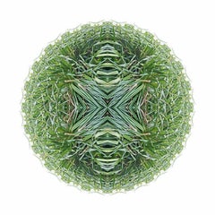 GARDEN MANDALA 2 Green Grass Abstract Digital Photograph Yuri Tuma 