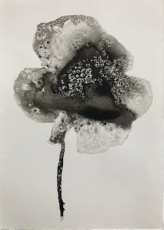 Blüte II