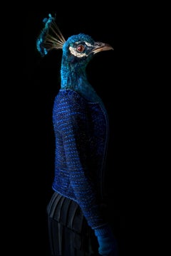 Second Skin Nº 6 Blue Peacock Surrealist Portrait Miguel Vallinas
