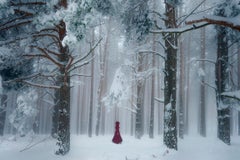 Arcadia 32 modern photography landscape nature snow red white Aida Pascual paper