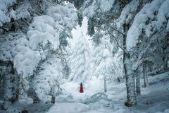 Arcadia 42 modern photography white red snow nature landscape Aida Pascual paper