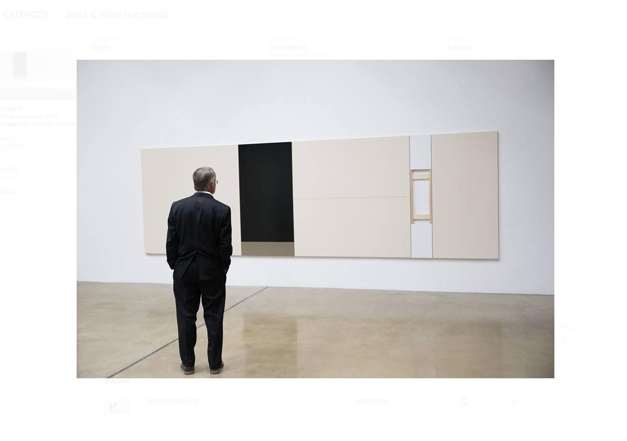 MAX ESTENGER, Schwarz-Weiß (sechs Tafeln), 2015 (Grau), Abstract Painting, von Max Estenger