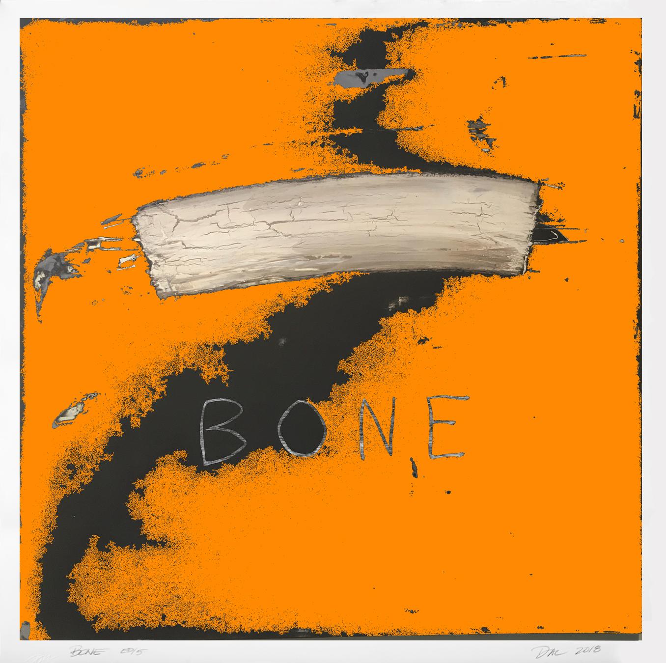 Dal Henderson Abstract Print - Bone