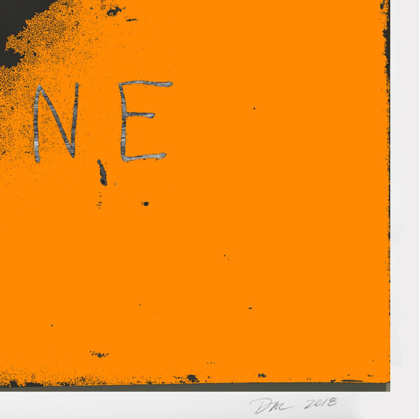 Bone - Orange Abstract Print by Dal Henderson